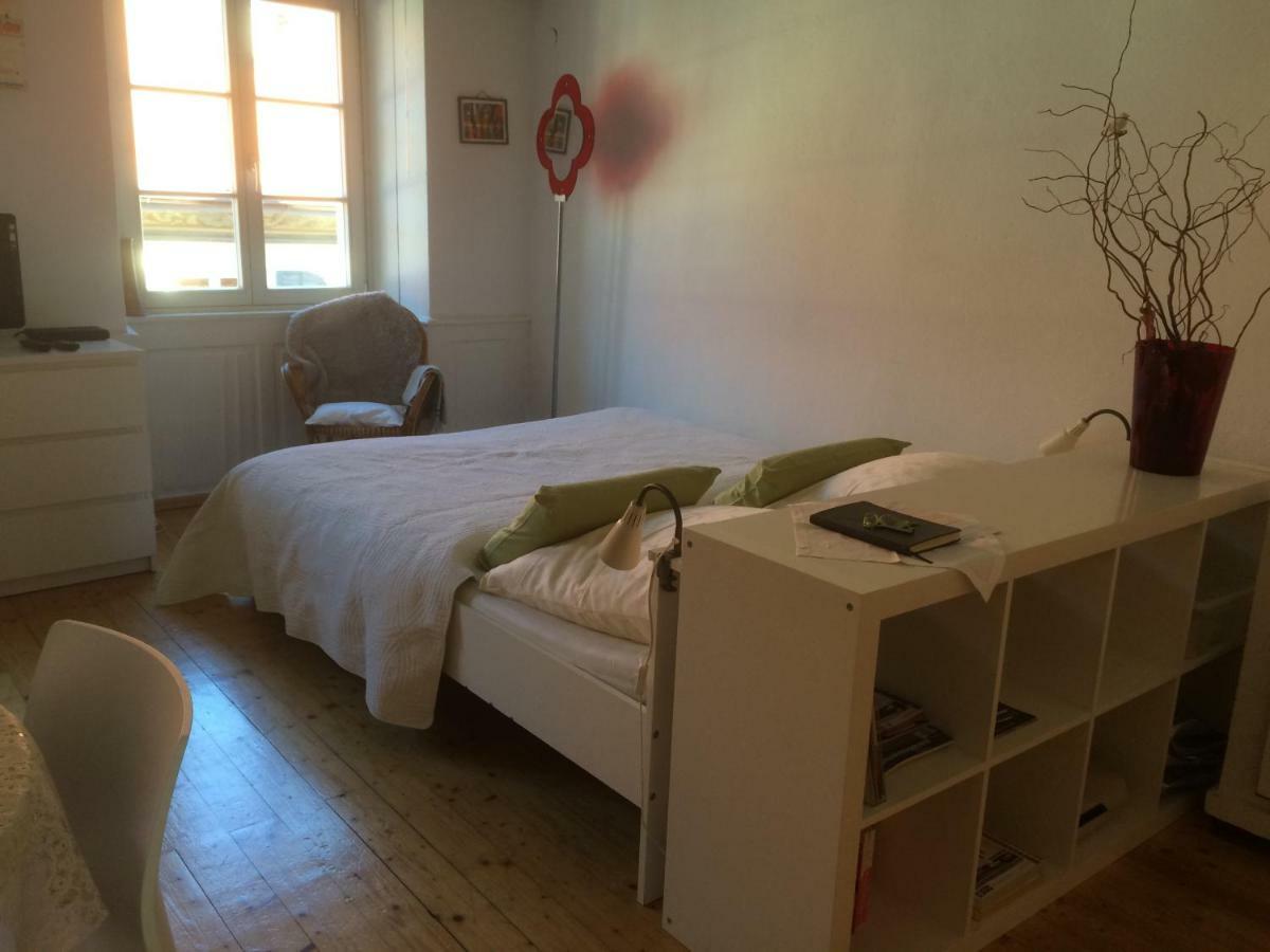 Zum Gruenen Lindenbaum Z5B Appartement Konstanz Buitenkant foto
